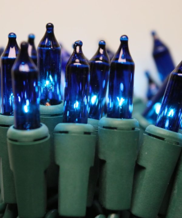 Blue Commercial Mini Lights, Green Wire Footlocker Online