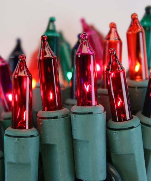 50-bulb Multicolor Mini Lights, 6" Spacing, Green Wire Sale Deals